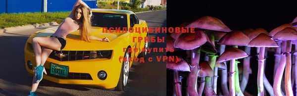 гидропоника Алексин