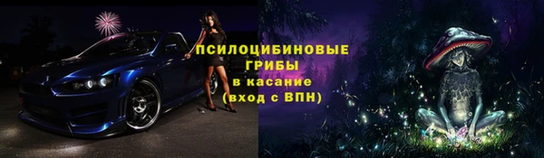 бошки Алексеевка